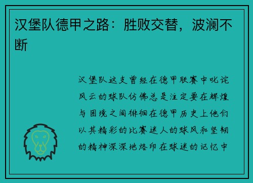 汉堡队德甲之路：胜败交替，波澜不断